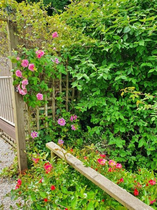 Bijou Coastal Apartment In Polperro With Hot Tub Onsite Parking Downhill Walk To Village Buitenkant foto
